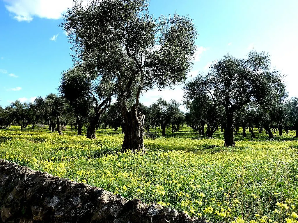 דירות אלגהרו Borgo Degli Ulivi איטליה
